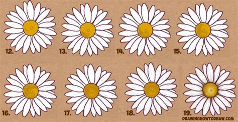 How To Draw A Daisy Flower Daisies In Easy Step By Step Drawing