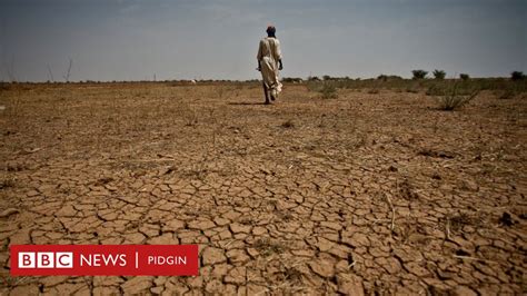 La Niña Weather Fit Bring Drought And Flooding Come Africa Bbc News
