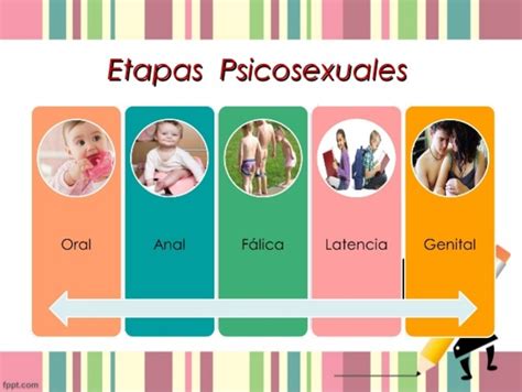 Etapas Del Desarrollo Psicosexual Propuesta Por Freud Etapas Del Desarrollo Psicosocial