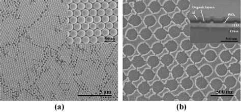 Sem Images Of A The Self Assembled Polystyrene Monolayer And B The