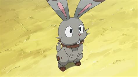25 Fun And Interesting Facts About Bunnelby From Pokemon Tons Of Facts