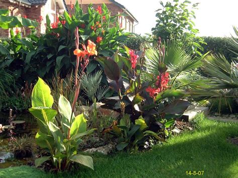 .exotengarten andreas milz, waren (müritz), exotengarten mit schwerpunkt yucca exotengarten, seine homepage roland reinicke, exotengarten in sachsen anhalt. Garten 2007 - Exoten und Palmen Claus Willich