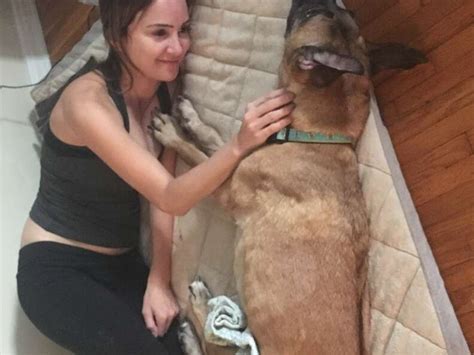 Woman Wont Give Up On Sick Shelter Dog Abused For 6 Years The Dodo