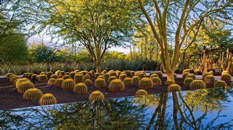 The Most Beautiful Gardens In Palm Springs