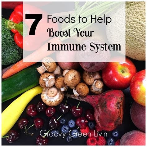 Switching things up is key, however. 7 Power Foods to Help Boost Your Immune System