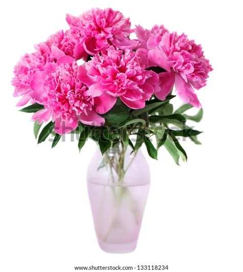 Pink Peony Flowers Vase Isolated On Stock Photo Shutterstock
