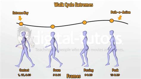 Ways To Make Walk Cycle In Animation A Brief Discussion