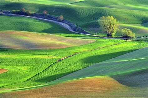 The Rolling Hills Farmland In Palouse Photograph By Lijuan Guo