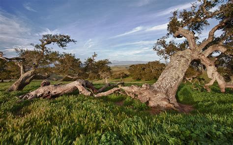 The Fort Ord National Monument Holds Some Of The My Public Lands
