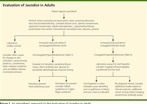 Figure From Evaluation Of Jaundice In Adults Semantic Scholar