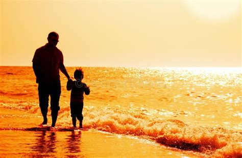 Pai E Filho Na Praia Foto De Stock Imagem De Sunset 24555444