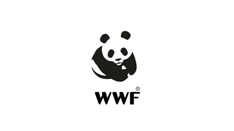 Wwf Logo Youtube