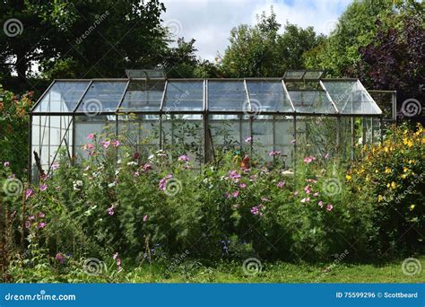 Garden Greenhouse With Flowers Stock Photo Image Of Gardening Garden