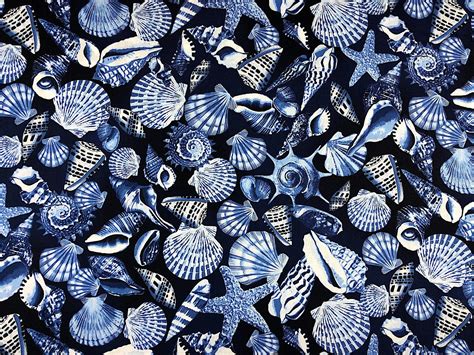 Seashell Fabric All Over Seashells Nautical Fabric Beach Fabric