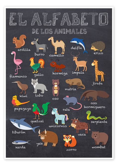 Alphabet Of Animals Spanish Print By Kidz Collection Posterlounge