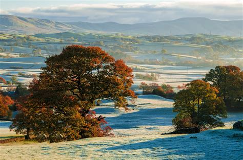 Hills Autumn Frost Trees Fields Wallpapers Hd Desktop And Mobile
