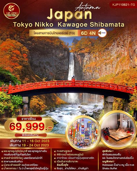 ทัวร์ญี่ปุ่น โตเกียว นิกโก้ Autumn Tokyo Nikko Kawagoe Shibamata Daysplus Travel