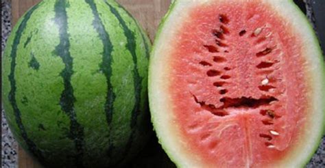If You See Cracks In Your Watermelon Throw It Away Heres Why