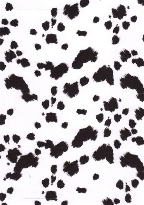 Dalmatian Print Dalmation Print Animal Print Wallpaper Iphone Prints