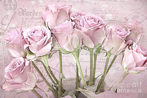 Paris Pink Rosesimpressionistic French Pink Rosesromantic Shabby Chic