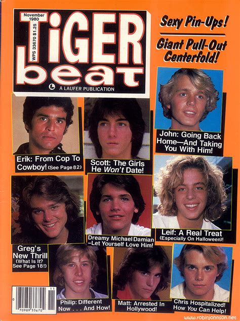 Robin Johnson Blog Archive Tiger Beat Vol 17 No 2 November 1980