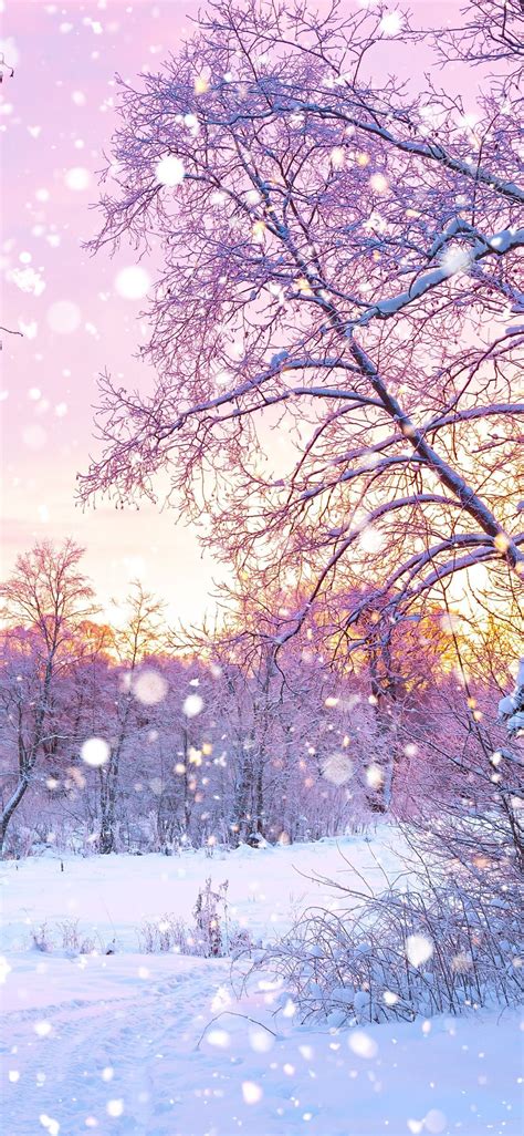 720 x 1278 jpeg 197 кб. Pink Aesthetic Snow Landscape Wallpapers - Wallpaper Cave
