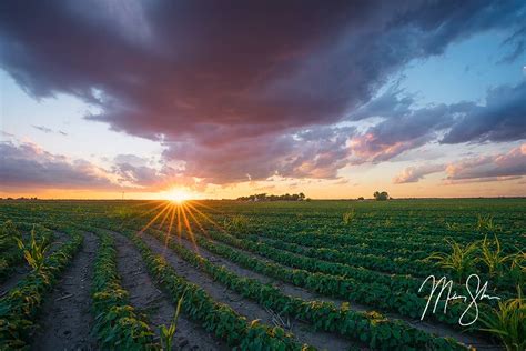 Sunset Over The American Heartland Wichita Kansas Mickey Shannon
