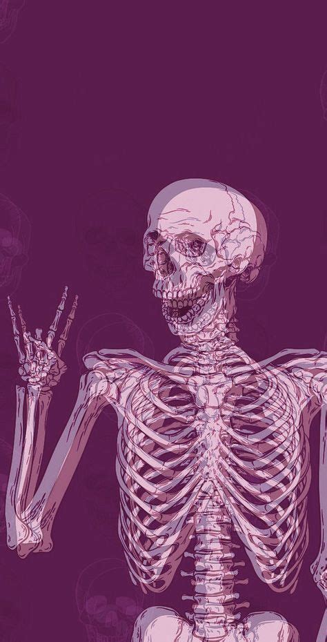 Skeleton Background Skull Wallpaper Skull Artwork Aesthetic Desktop