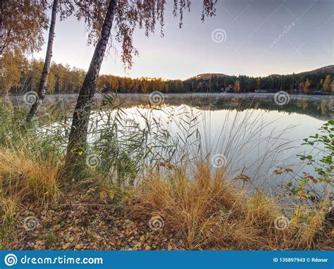Fall Evening On The Lake Beautiful Forest Lake Stock Image Image Of
