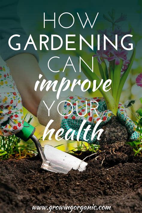 This Is How Gardening Can Improve Your Heath As An Individual Both