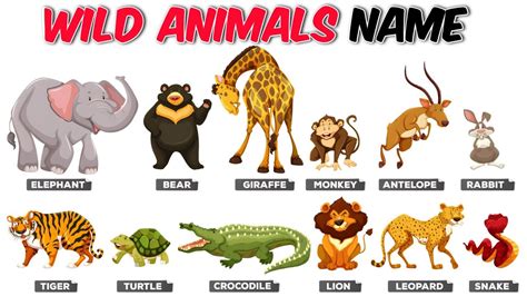 Wild Animals Names जंगली जानवरों का नाम Pictur And Sounds Wild