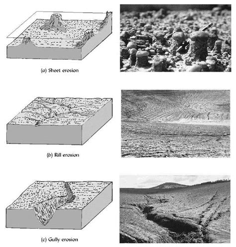 3 Types Of Water Erosion A Sheet Erosion B Rill Erosion C Gully