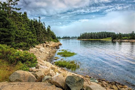 Schoodic Peninsula Maine Photograph By George Moore Fine Art America
