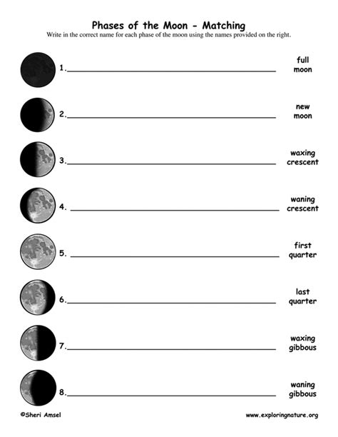 Moon Phases Worksheet 5th Grade