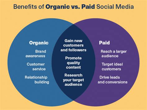 Organic Vs Paid Instagram Marketing How To Do Both