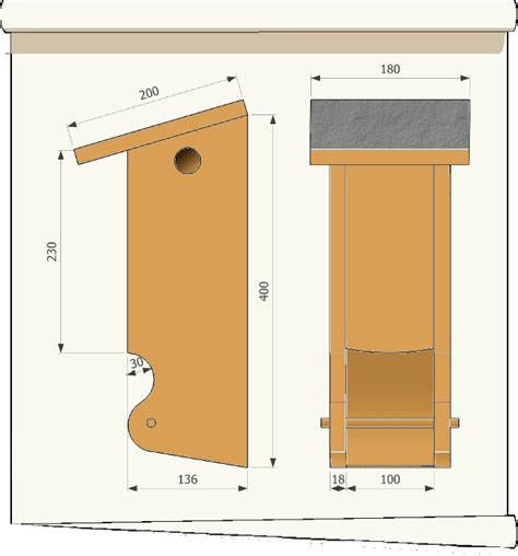 Plans De Nichoirs Multi Sp Cifiques Bird Seed Feeders Diy Bird Feeder