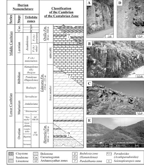 Simpliwed Stratigraphic Section Of The Cambrian Of The Cantabrian Zone