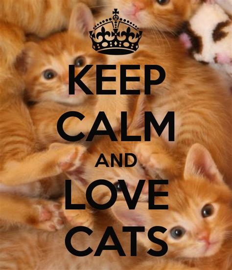 Keep Calm And Love Cats Keep Calm Pinterest