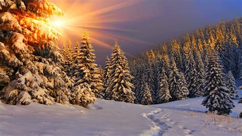 Snow Sun Wallpapers Top Free Snow Sun Backgrounds Wallpaperaccess
