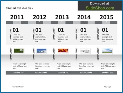 5 Year Timeline Template