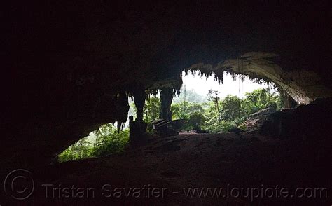 Huge Natural Cave Gua Niah Niah Caves National Park Borneo