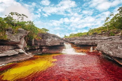 Best Time To See Caño Cristales River In Colombia 2024 Roveme