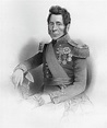 Field Marshal Sir John Fox Burgoyne by Print Collector