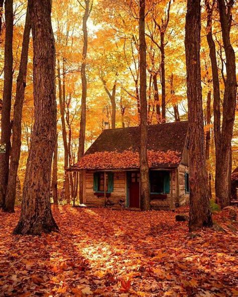Pin By Julie Fenn On The Cabin Cabins In The Woods Autumn Scenery