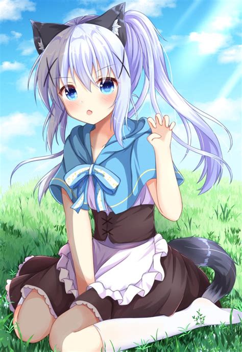 Chino Gochiusa Rkemonomimi