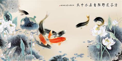 Koi Fish Wallpapers 64 Images