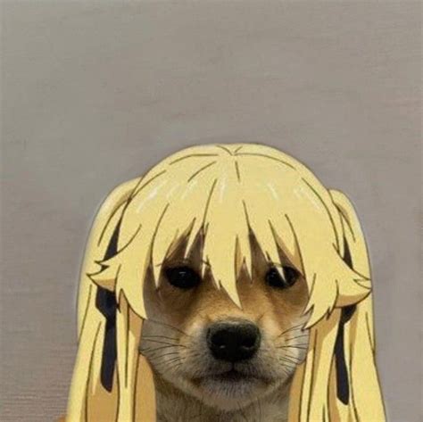 𝚊𝚗𝚒𝚖𝚎𝚔𝚊𝚔𝚎𝚐𝚞𝚛𝚞𝚒 In 2020 Dog Icon Anime Funny Cute Icons