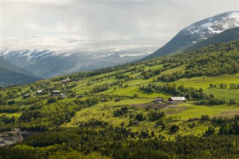 Hillside Farms In Mountains Of Norway Stock Photo Image Of Grass