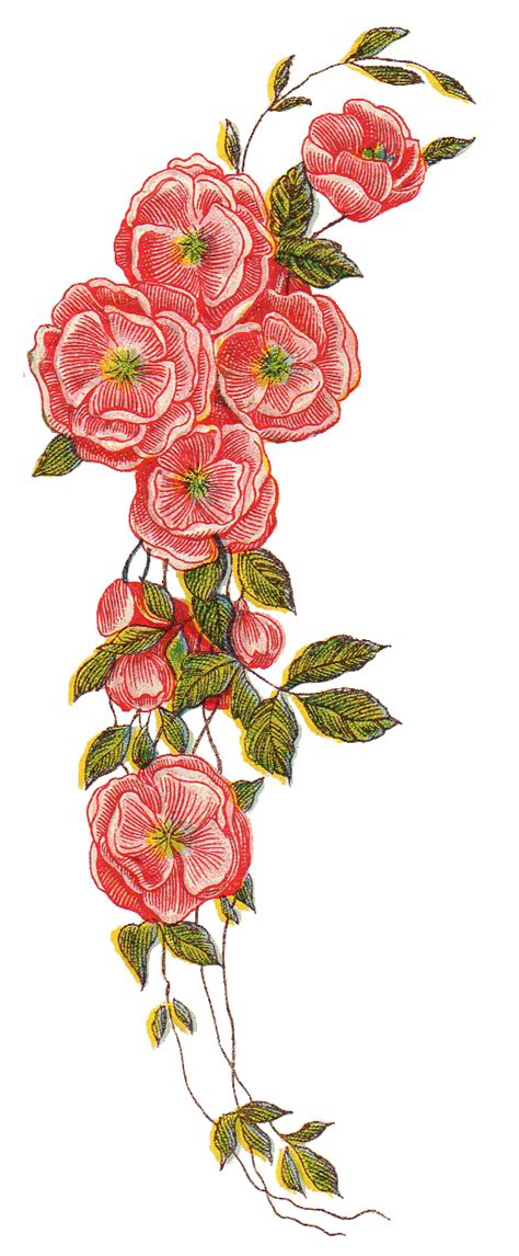 Leaping Frog Designs Cascading Roses Vintage Png Image