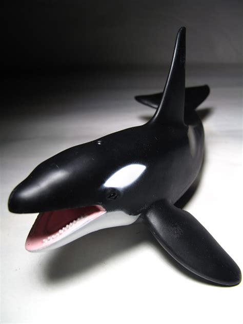 Collecta Animal Toy Figure Orca Killer Whale
